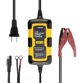 Wagan 7403 6V and 12V 4.0A Intelligent Battery Charger, Battery Maintainer, Fully-Automatic Smart Charger