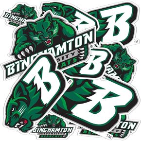 Desert Cactus Binghamton University Bearcats SUNY Stickers Vinyl Decals Laptop Water Bottle Car Scrapbook T1 (Type 1-1)