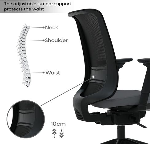 Goldsit Mercur Style Office Desk Chair | European Quality | Mesh Backrest with 3 Lockable Angles | Adjustable Armrests | Brake Rolling Resistance and Silent Casters | Anthracite in Saudi Arabia