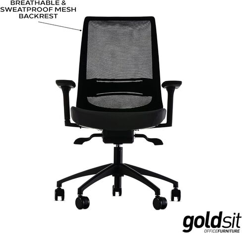 Goldsit Mercur Style Office Desk Chair | European Quality | Mesh Backrest with 3 Lockable Angles | Adjustable Armrests | Brake Rolling Resistance and Silent Casters | Anthracite in Saudi Arabia