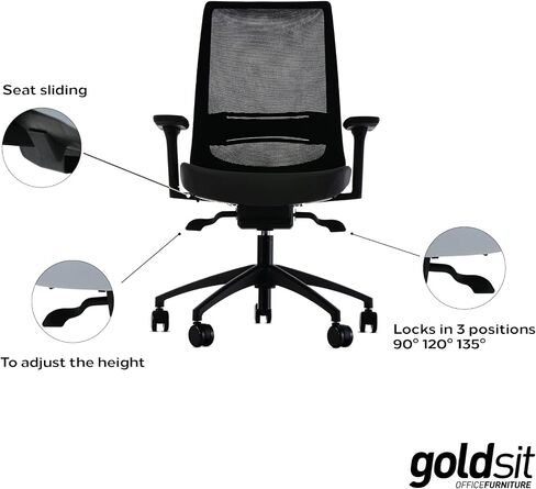 Goldsit Mercur Style Office Desk Chair | European Quality | Mesh Backrest with 3 Lockable Angles | Adjustable Armrests | Brake Rolling Resistance and Silent Casters | Anthracite in Saudi Arabia