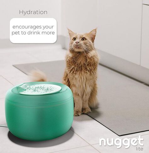 نافورة مياه TUG Nugget Lite للحيوانات الأليفة | نافورة شرب للقطط والكلاب سعة 2.5 لتر (أخضر) in Kuwait