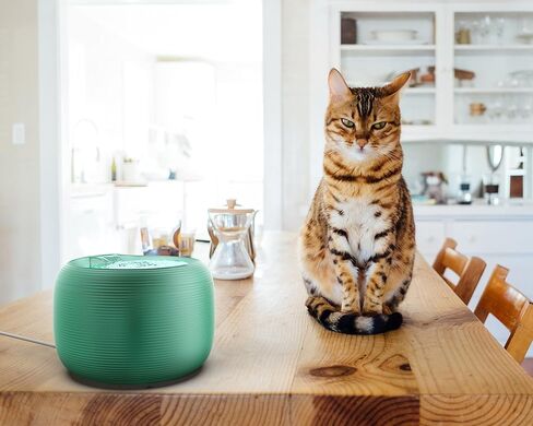 نافورة مياه TUG Nugget Lite للحيوانات الأليفة | نافورة شرب للقطط والكلاب سعة 2.5 لتر (أخضر) in Kuwait