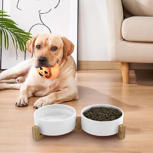 SADIE & SIMBA Ceramic Cat Bowls Dog Bowl Set with Raised Bamboo Stand for Cats Small Dog Puppy (2 Cups) (Small, White) in Saudi Arabia
