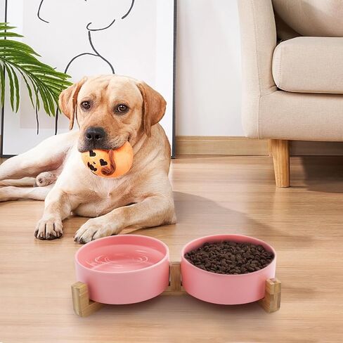 SADIE & SIMBA Ceramic Cat Bowls Dog Bowl Set with Raised Bamboo Stand for Cats Small Dog Puppy (2 Cups) (Small, White) in Saudi Arabia