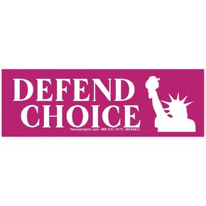 Defend Choice Pro-Choice Reproductive Rights Small Magnetic Car Bumper Sticker Magnet Decal for Lockers Fridges Magnetic Surfaces 5.4-by-1.8 Inches (Magnetic Backing)