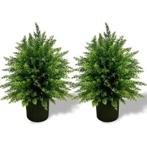 Tall Artificial 2Pack White Camellia Tree Potted Bushes UV Resistant Potted Plants for Indoor Outdoor Home Garden (2Pack White Camellia Tree)