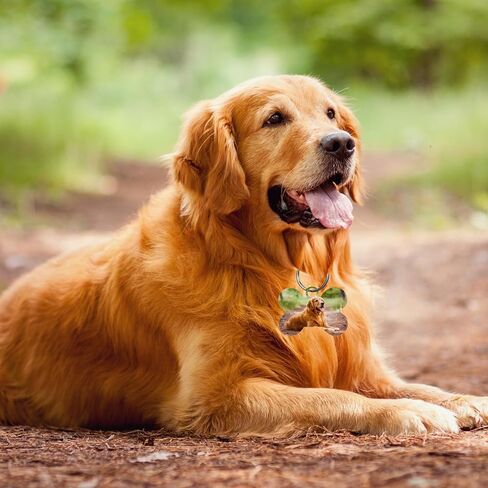 30 جهاز كمبيوتر شخصى علامات الكلب فارغة التسامي شكل مخلب التسامي فارغة علامات الكلب مزدوجة من جانب الكلب العلامات مع حلقة رئيسية DIY جانب الألومنيوم الكلب معرف العلامات العظام على شكل اسم الحيوانات الأليفة العلامات طوق الكلب العلامات مع الكلاب والقطط in Kuwait