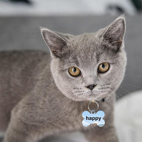 30 جهاز كمبيوتر شخصى علامات الكلب فارغة التسامي شكل مخلب التسامي فارغة علامات الكلب مزدوجة من جانب الكلب العلامات مع حلقة رئيسية DIY جانب الألومنيوم الكلب معرف العلامات العظام على شكل اسم الحيوانات الأليفة العلامات طوق الكلب العلامات مع الكلاب والقطط in Kuwait