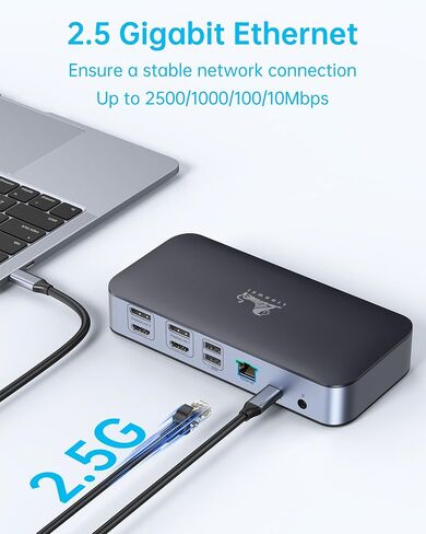 DisplayLink Docking Station Dual Monitor, LIONWEI USB C Dock for MacBook M1 M2/Windows with 2 HDMI,2 DisplayPort,2.5 Gigabit Ethernet,120W DC Power Supply,6 USB Ports,SD/Micro sd,Audio in Saudi Arabia