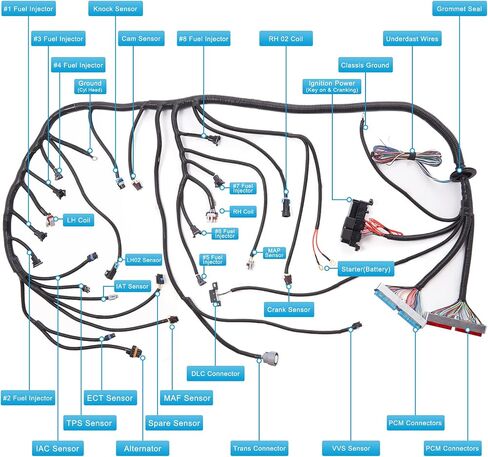 4L60E Wiring Harness LS Engine Swap مستقل متوافق مع 1997-2006 GM DBC LS1 4.8 L 5.3 L 6.0 L Vortec Transmission Drive بواسطة كابل خنق الجسم 4L60E بواسطة EV1 EV6 موصل حاقن الوقود in Saudi Arabia