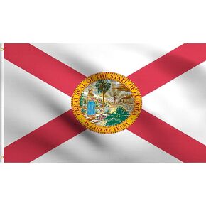 DMSE Florida State Flag 2X3 Ft Foot 100% Polyester 100D Flag UV Resistant (2' X 3' Ft Foot)