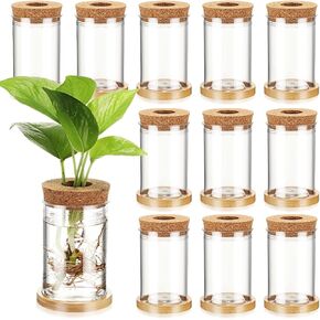 12 Packs Plastic Desktop Plant Terrariums Propagation Planter Water Station Tabletop Planting Vase with Lid and Bamboo Stand for Growing Hydroponic Home Office Table Decoration, 2.5 x 4 Inch