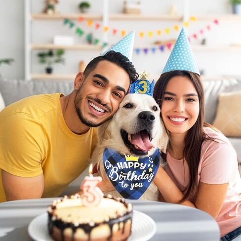 Vivifying Dog Birthday Party Supplies, Set of 4 Dog Birthday Bandanas with Crown Hat and Bow Tie, Multi Size for Small Medium Large Boy Dog Party Decorations (Large, Pink) in Saudi Arabia