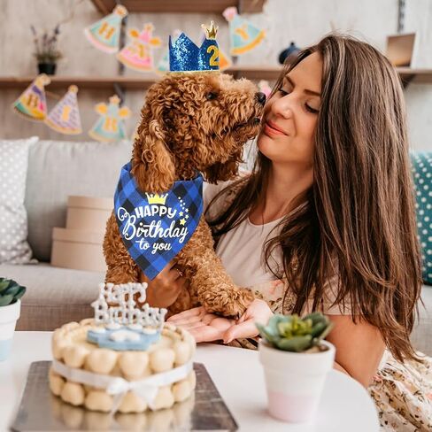 لوازم حفلات أعياد ميلاد الكلاب المفعمة بالحيوية، مجموعة من 4 مناديل عيد ميلاد للكلاب مع قبعة تاج وربطة عنق، مقاسات متعددة لتزيين حفلات الكلاب الصغيرة والمتوسطة والكبيرة (كبير، وردي) in Kuwait