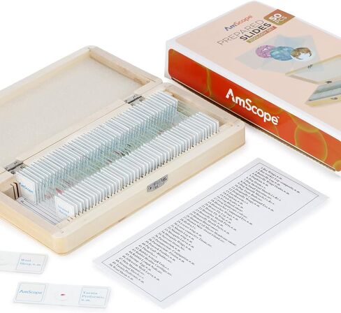 AmScope - 50 قطعة من عينات شرائح المجهر الزجاجي لعلم الحيوان مع علبة خشبية - PS50W-ZLG in Kuwait