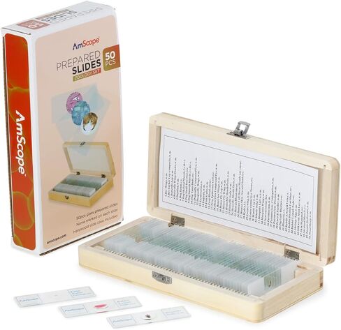 AmScope - 50 قطعة من عينات شرائح المجهر الزجاجي لعلم الحيوان مع علبة خشبية - PS50W-ZLG in Kuwait