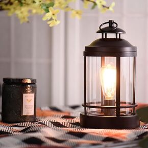 Electric Wax Melt Heater - Metal Wax Warmer,Heater for Aromatherapy Wax,Oil Burner with Edison Bulb,Wax melt for Home Decor,Office,Birthday Gift for Ladies