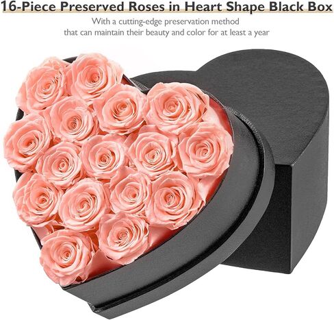 زهور إترفيلد إلى الأبد في صندوق على شكل قلب، ورود محفوظة تدوم لأكثر من عام، هدايا للأم والزوجة وعيد الحب وعيد الأم (صندوق أسود، 16 وردة شامبانيا) in Kuwait
