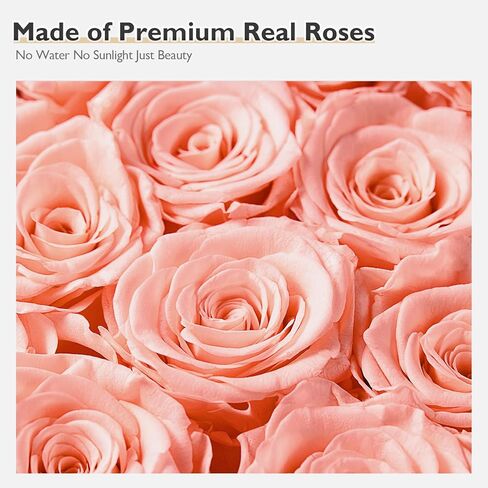 زهور إترفيلد إلى الأبد في صندوق على شكل قلب، ورود محفوظة تدوم لأكثر من عام، هدايا للأم والزوجة وعيد الحب وعيد الأم (صندوق أسود، 16 وردة شامبانيا) in Kuwait