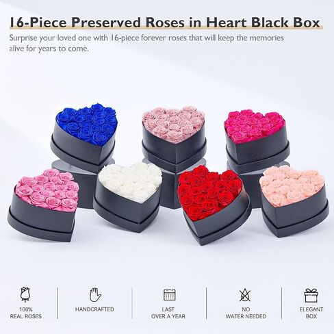 زهور إترفيلد إلى الأبد في صندوق على شكل قلب، ورود محفوظة تدوم لأكثر من عام، هدايا للأم والزوجة وعيد الحب وعيد الأم (صندوق أسود، 16 وردة شامبانيا) in Kuwait