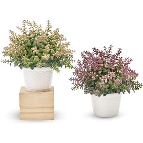 2 Pack Fake Potted Plant for Indoor, Artificial Plants Flowers for Shelf Decor and Bathroom Plants Decor Livingroom Table and Office Desk(Yellow & Purple)