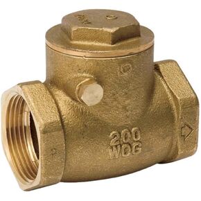 B & K 101-008NL 2" Check Valve