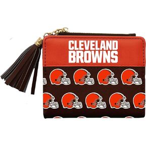 Littlearth Unisex-Adult NFL Cleveland Browns Mini Organizer, Team Color, One Size