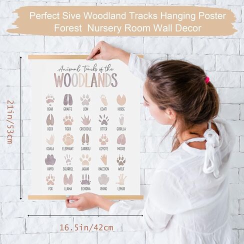ملصق معلق لمسارات Tiuran Woodland، ديكور حضانة الغابات من القماش مقاس 17 × 21 بوصة، علامة دليل مسارات الحيوانات، ديكور حضانة الغابات، ديكور جدار حضانة الصبي، ديكور غرفة حضانة الطفل الرضيع in Kuwait