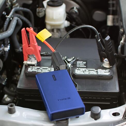 Type S 1000A 12V 6.0L Jump Starter Power Bank with Dual USB Charging and 8,000 mAh Power Bank - Black in Saudi Arabia
