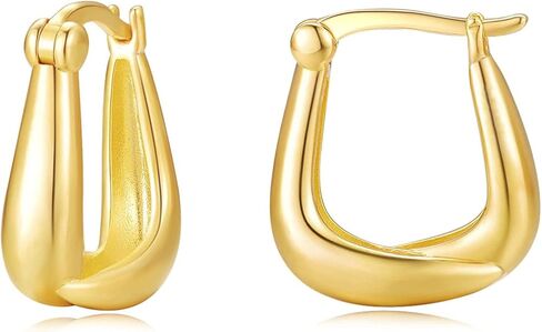 PHNIBIRD Gold Hoop Earrings for Women with 925 Sterling Silver Ear Pins Exquisite Earrings Hoop for Daily Use Gift Hoop Earrings for Women Girls in Kuwait