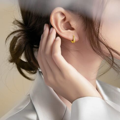 PHNIBIRD Gold Hoop Earrings for Women with 925 Sterling Silver Ear Pins Exquisite Earrings Hoop for Daily Use Gift Hoop Earrings for Women Girls in Kuwait