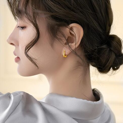 PHNIBIRD Gold Hoop Earrings for Women with 925 Sterling Silver Ear Pins Exquisite Earrings Hoop for Daily Use Gift Hoop Earrings for Women Girls in Kuwait