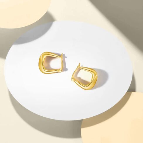 PHNIBIRD Gold Hoop Earrings for Women with 925 Sterling Silver Ear Pins Exquisite Earrings Hoop for Daily Use Gift Hoop Earrings for Women Girls in Kuwait