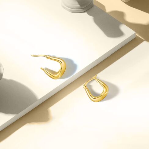 PHNIBIRD Gold Hoop Earrings for Women with 925 Sterling Silver Ear Pins Exquisite Earrings Hoop for Daily Use Gift Hoop Earrings for Women Girls in Kuwait