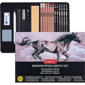 PANDAFLY Professional Colored Charcoal Pencils Drawing Set, 20 Pack Art Pencil Kit - Pastel Chalk Pencils, Black & White Charcoal Pencils, Graphite Pencils, Charcoal Sticks, P932-20
