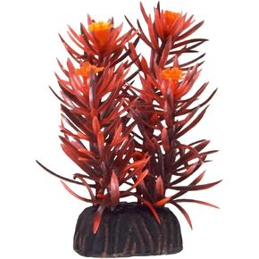 Underwater Treasures Rotala Indica - 3"