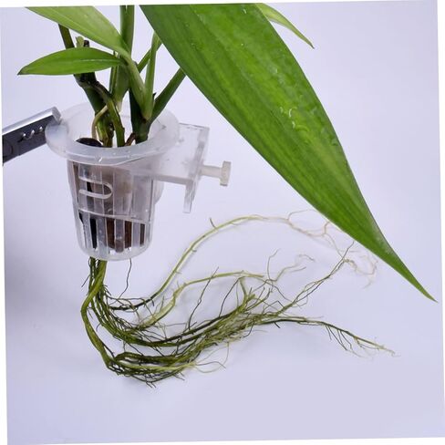 FOMIYES 4Pcs Accessories Aquatic Plants Hanging Aquarium Plant Pot Water Plant Basin Hanging Flowerpot Aquarium Plant Pots Aquarium Plant Holder Plant Basket Aquarium Plant Stand in Saudi Arabia