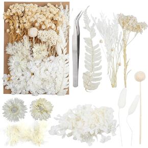 Dried Flowers,Dried Flowers Set for DIY Scrapbook Accessories Flower Arrangements Flower Decoration Wedding Decoration(White)