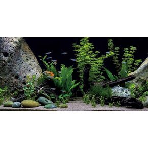 AWERT Vinyl Underwater Aquatic Plant Fish Tank Background Stone River Bed & Lake Aquarium Background 72x24 inches