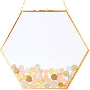 Gold Glass Frame for Coin Display, Coins Display Stands, Wall Hanging Coin Collecting Holders, Currency Dollar Collection Holders for Collectors, Glass Piggy Bank (Hexagonal)