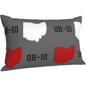 Pillowcase for Hair and Skin Ohio State Gray Sofa Bed Home Decor Pillow Cover Soft Travel Pillow Cases with Hidden Zipper Closure Print for Gift 14x20 inch