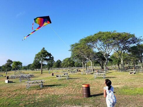 Kites for Kids Ages 4-8, Kites for Adults, Rainbow Kite, Delta and Diamond Kites for Kids Ages 8-12 Easy to Fly, Stunt Kite, Beach Kite with Carrying Bag in Saudi Arabia