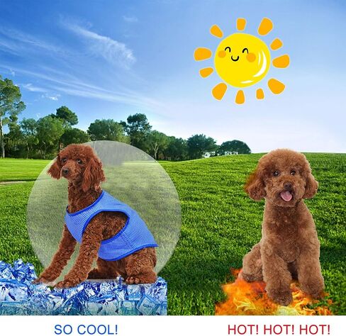Pet Cooling Vest, Dog Cooling Jacket Dog Ice-Cooling Harness Coats, Cool Jackets for Dogs Pet Cooler Vest with Magic Tape, Breathable Mesh Ice Vest for Dog Outdoor Hiking Training (M) in Saudi Arabia