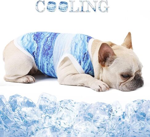 Pet Cooling Vest, Dog Cooling Jacket Dog Ice-Cooling Harness Coats, Cool Jackets for Dogs Pet Cooler Vest with Magic Tape, Breathable Mesh Ice Vest for Dog Outdoor Hiking Training (M) in Saudi Arabia
