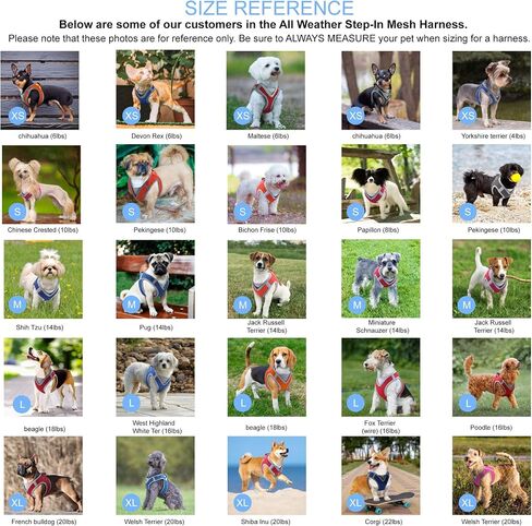 KRUZ PET KZA308-14S حزام عاكس للضوء على شكل حرف V للكلاب - بدون سحب، ملاءمة سريعة، مريح، حزام فيلكرو قابل للتعديل للحيوانات الأليفة للمشي والتدريب - كلاب صغيرة ومتوسطة - أحمر، صغير in Kuwait