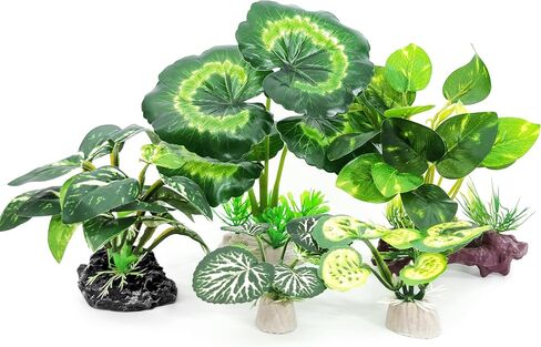 Fish Tank Aquarium Decorations Betta Fish House Hides with 4pcs Artificial Plants for Small and Medium Fish Tank in Kuwait