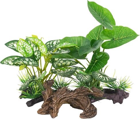 Fish Tank Aquarium Decorations Betta Fish House Hides with 4pcs Artificial Plants for Small and Medium Fish Tank in Kuwait