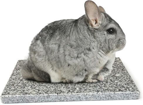Chinchilla Cooling Stone Durable Cool Down Easy Clean in Hot Summer for Rabbit Hamster Guinea Pig Chinchilla Kitten Small Animals Spots of Grey in Saudi Arabia