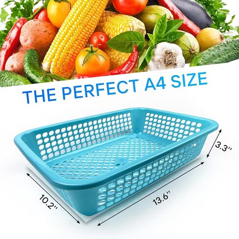 30 Pack A4 Size Classroom Storage Baskets Paper Organizer Basket Colorful Organization Storage Trays Mesh Bin for Teacher Classroom Office Home Basket Tray in Saudi Arabia